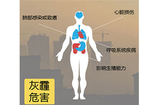 空氣中PM2.5 是由什么物質(zhì)組成的？