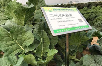 10月23日，中國（鄭州）種業(yè)博覽會將在河南省鄭州市中牟縣官渡鎮(zhèn)鄉(xiāng)謠農(nóng)場舉辦