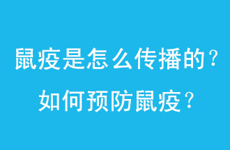 鼠疫是怎么傳播的？如何預(yù)防鼠疫？